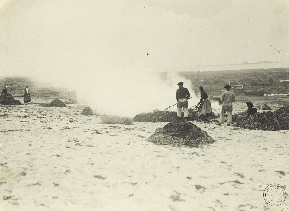 Brûlage du goémon, Saint-Guénolé, 1913