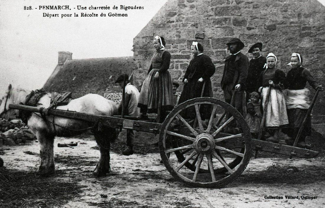 Une charretée de Bigoudens partant pour la récolte du goémon, vers 1900.