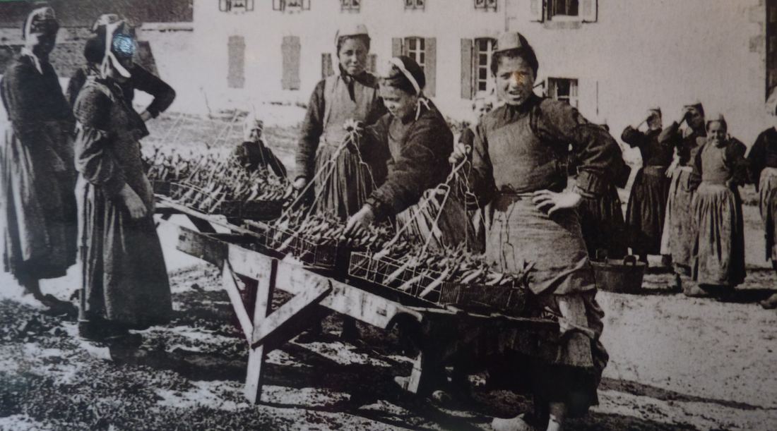 La préparation des sardines pour les conserveries, vers 1920.