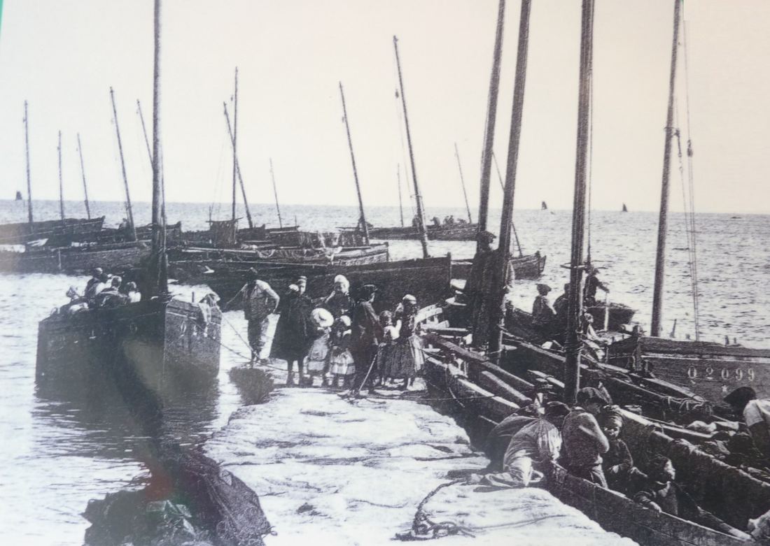 Le port de Saint-Pierre, vers 1900.
